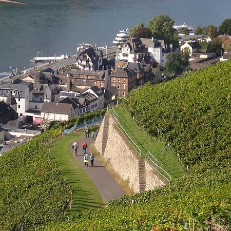 Hotel Gasthof Schuster Und Gaestehaus Ruedesheim am Rhein Ngoại thất bức ảnh
