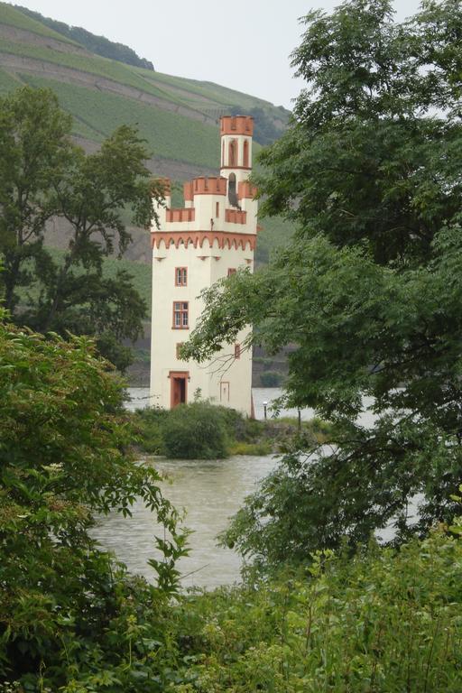 Hotel Gasthof Schuster Und Gaestehaus Ruedesheim am Rhein Ngoại thất bức ảnh